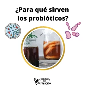 Para que sirven los probióticos