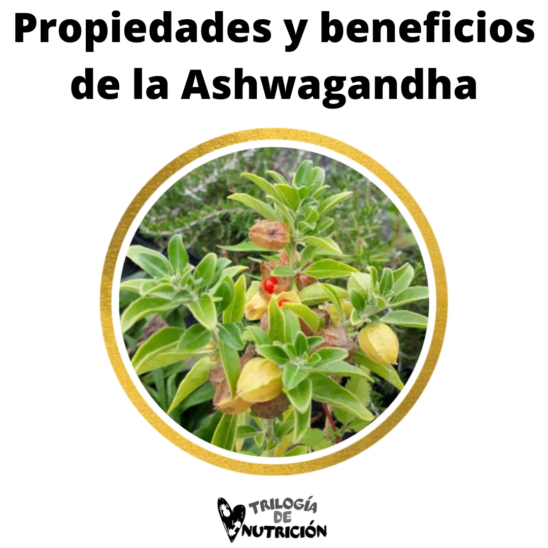 propiedades y beneficios de la Ashwagandha